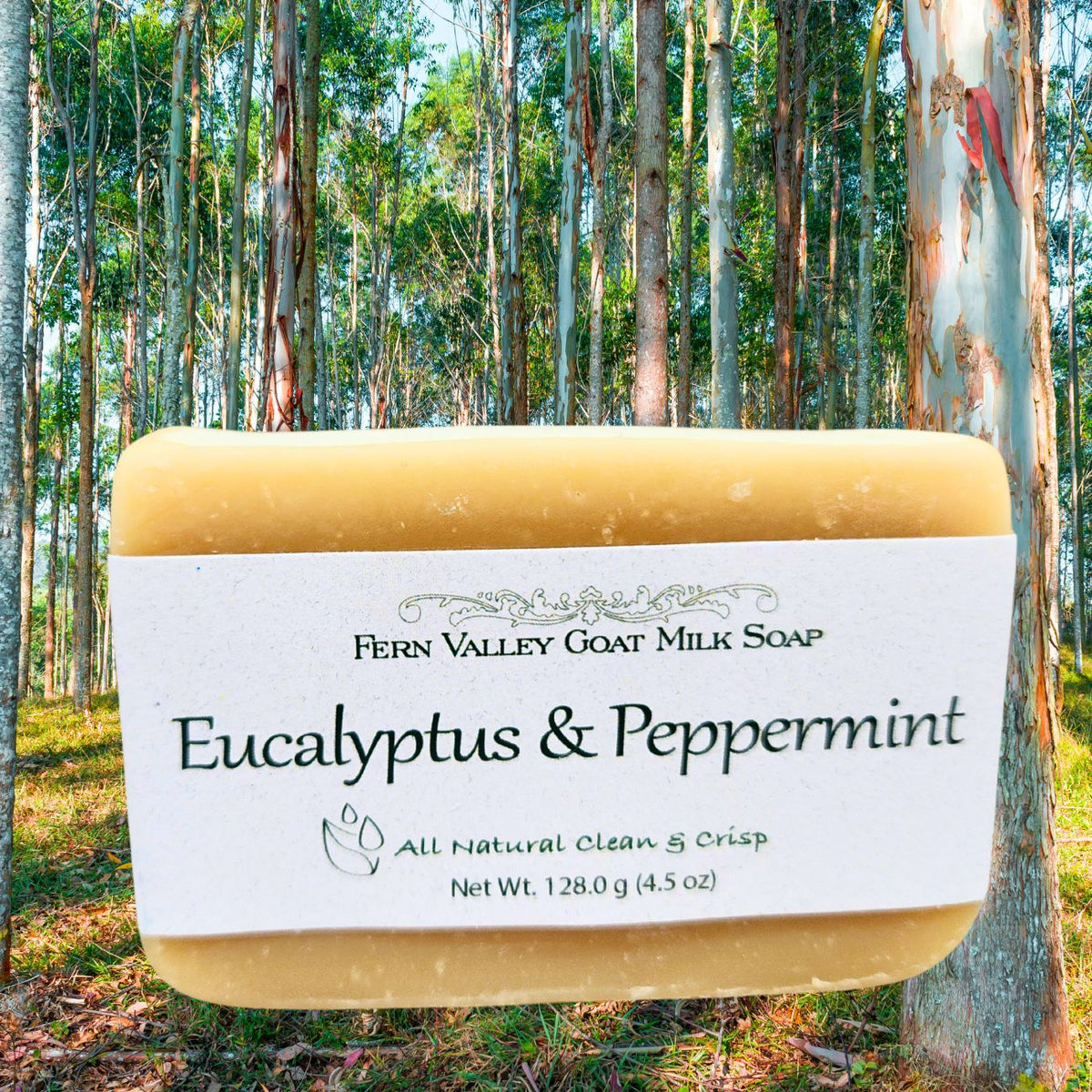 Handmade Goat Milk Soap | All Natural Eucalyptus &amp; Peppermint Soap