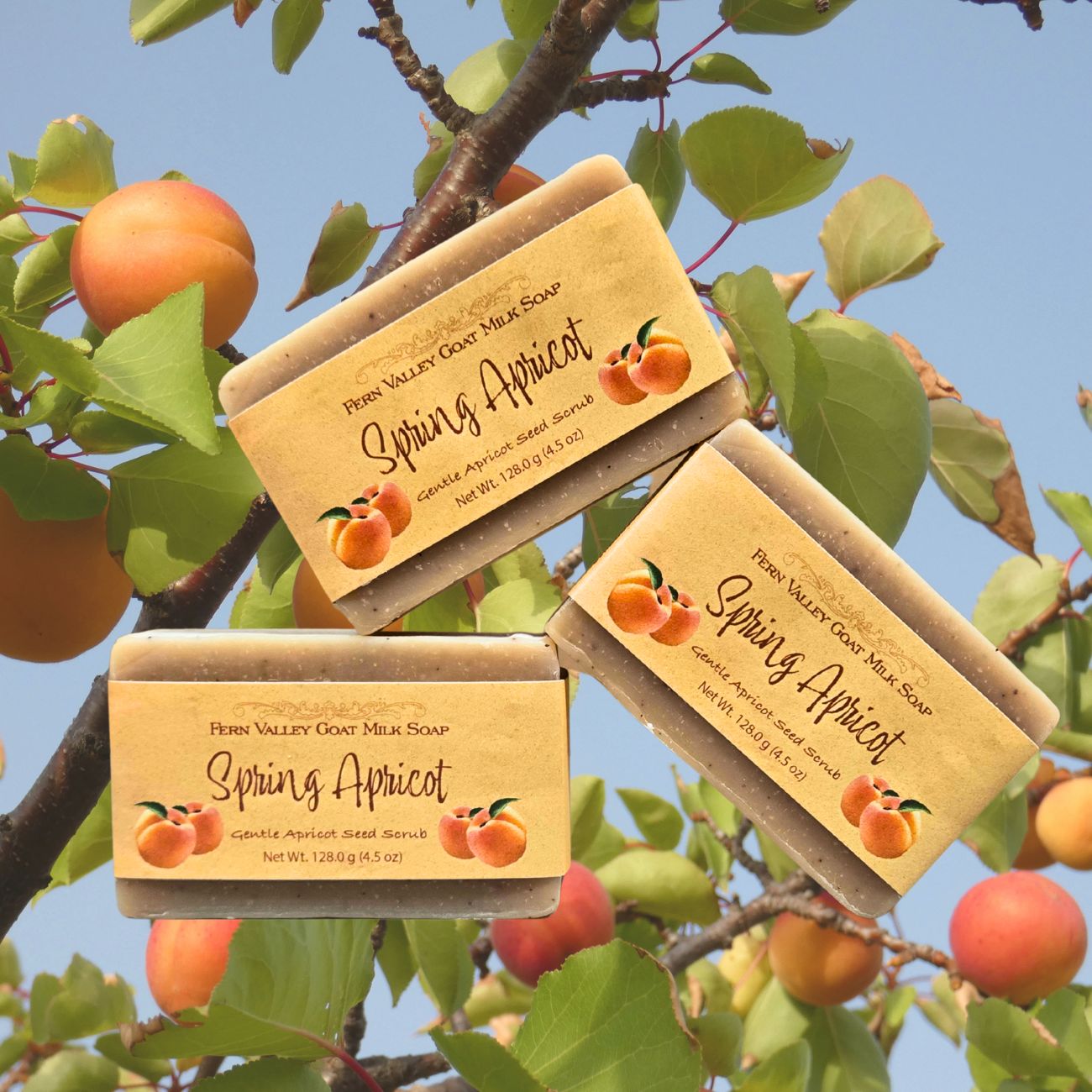 Handmade Goat Milk Soap | Spring Apricot Exfoliating Scrub